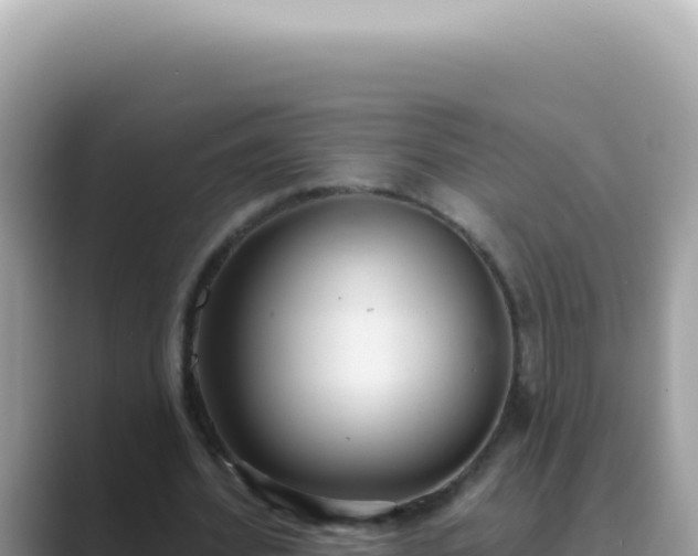 X0000089860580200707051135