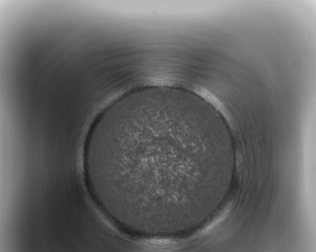 X0000089860581200707051135