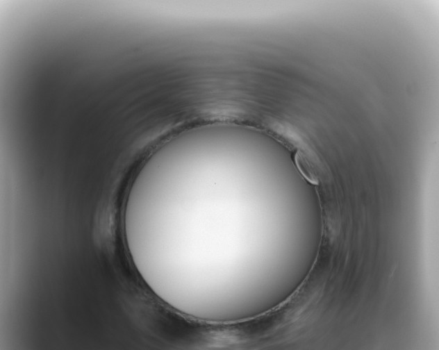 X0000089860583200707051135