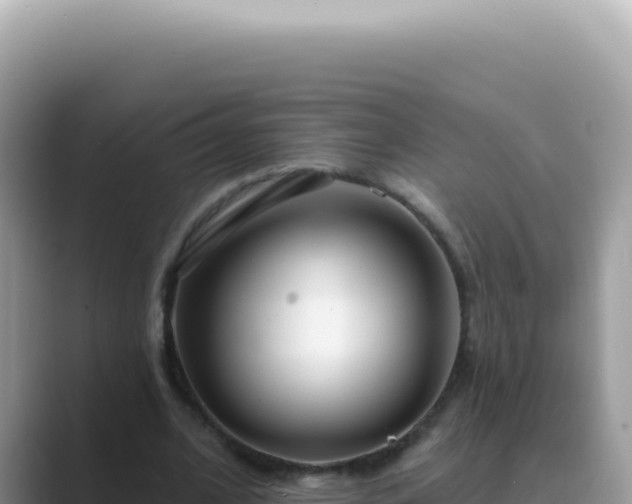 X0000089860584200707051135