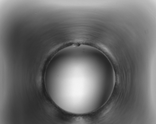 X0000089860588200707051135
