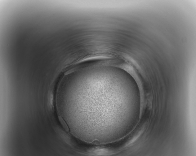 X0000089860589200707051135