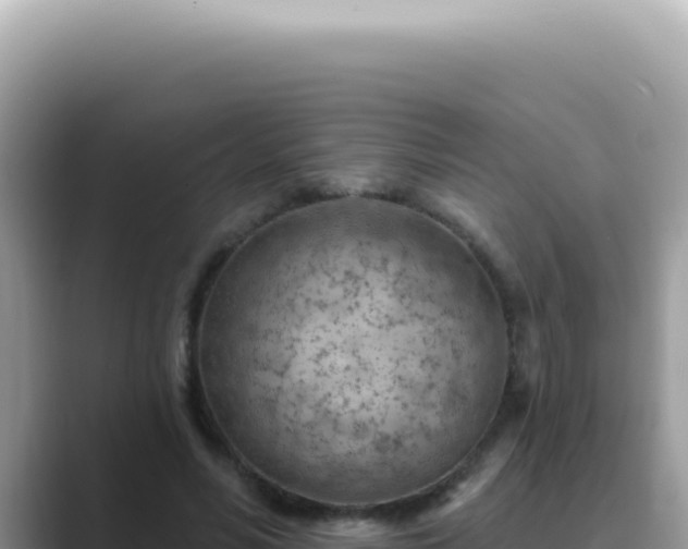X0000089860590200707051135
