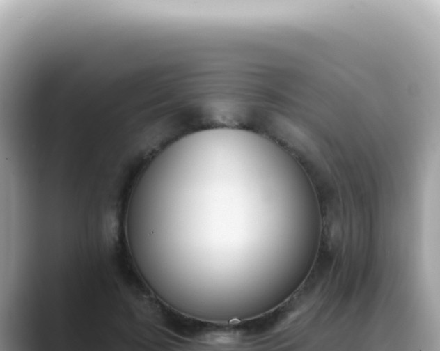 X0000089860595200707051135