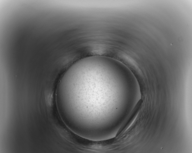 X0000089860596200707051135