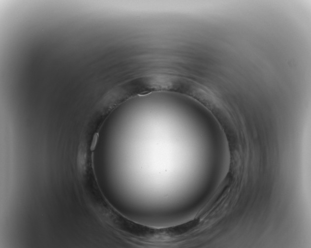 X0000089860600200707051135
