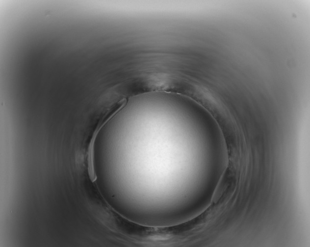 X0000089860601200707051135