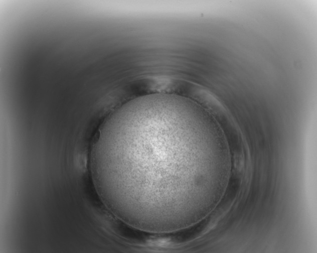 X0000089860602200707051135