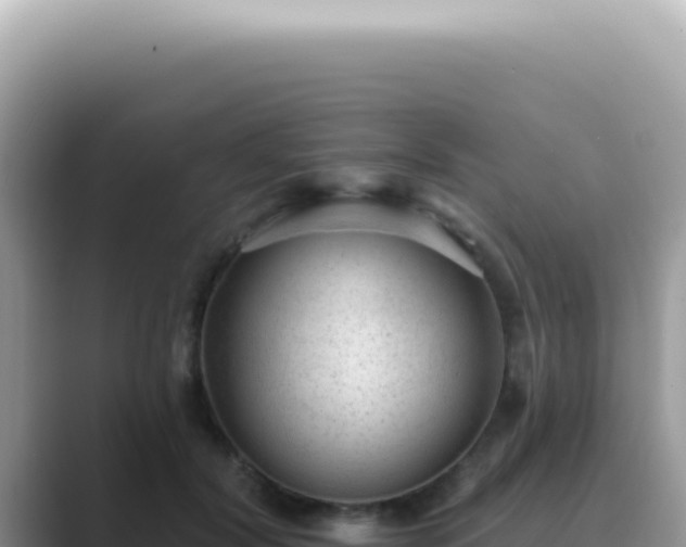 X0000089860604200707051134