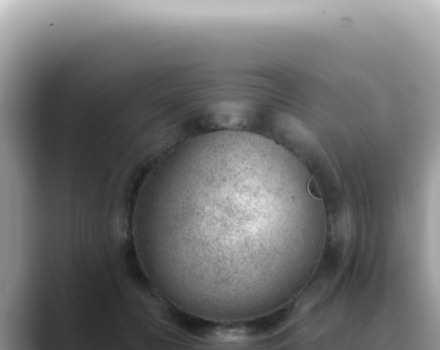 X0000089860606200707051134