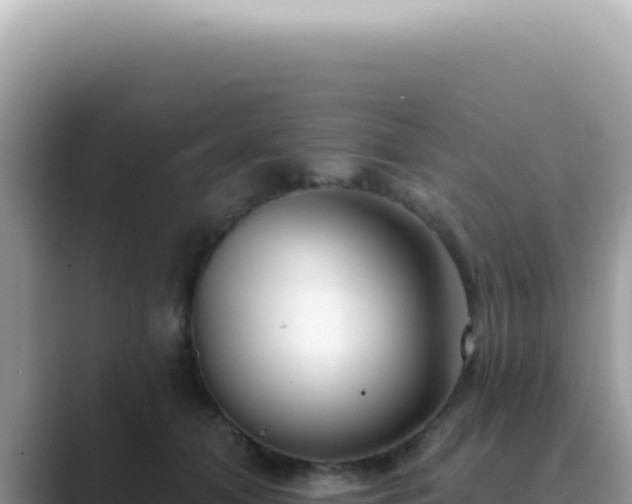 X0000089860608200707051134