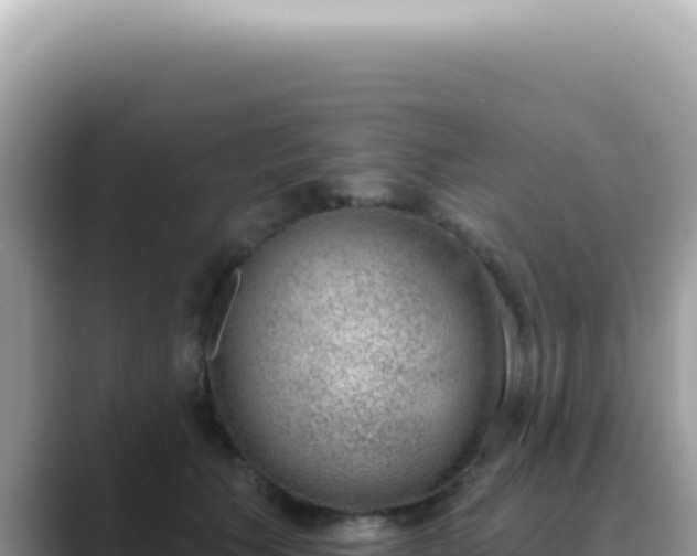 X0000089860609200707051134