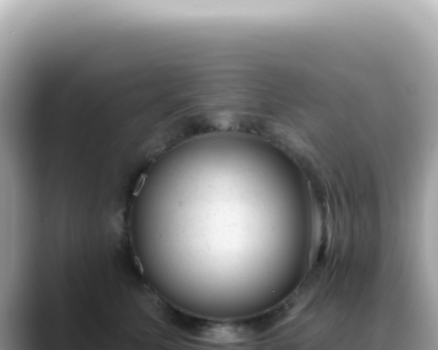 X0000089860611200707051134