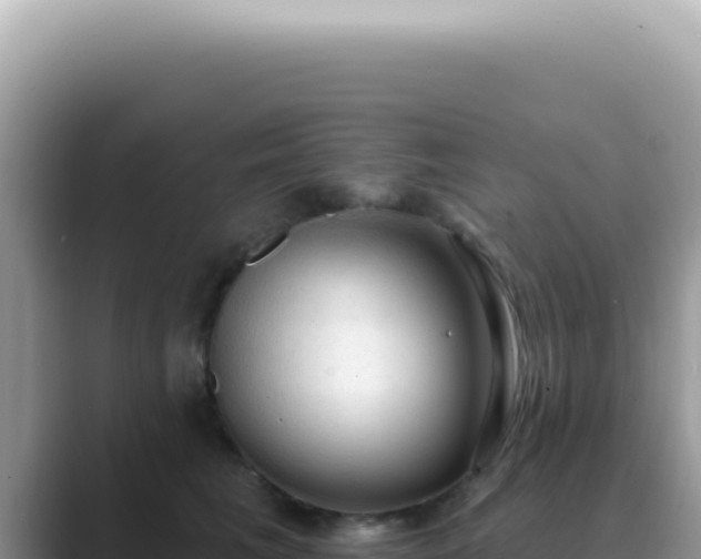 X0000089860613200707051134