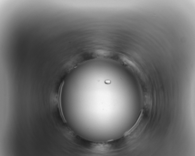 X0000089860621200707051134