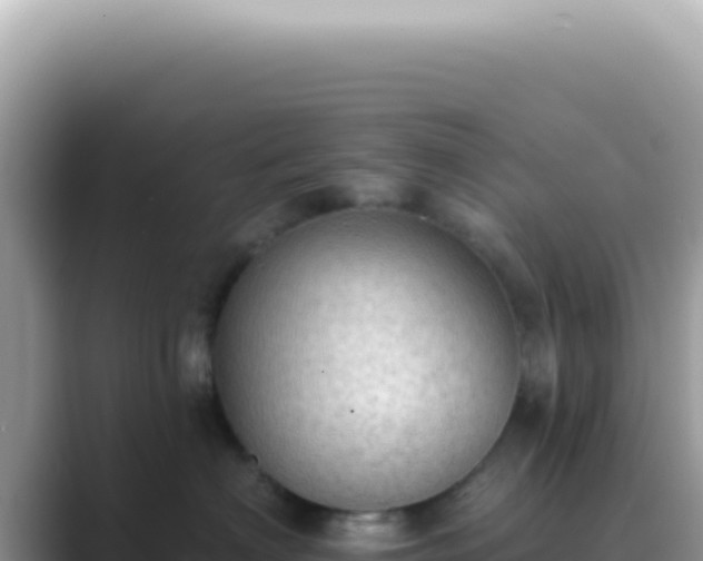 X0000089860622200707051134