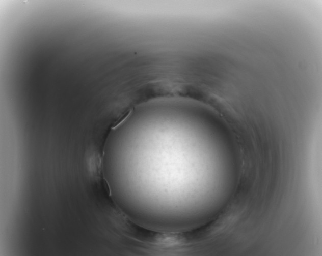 X0000089860624200707051134