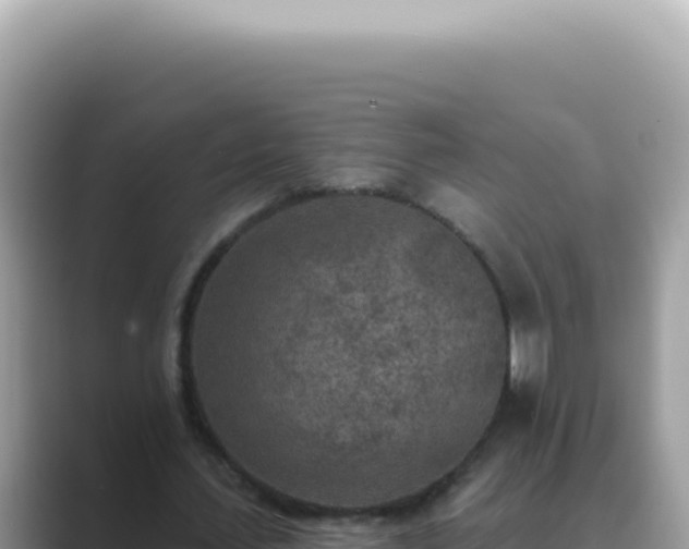 X0000089860627200707051134