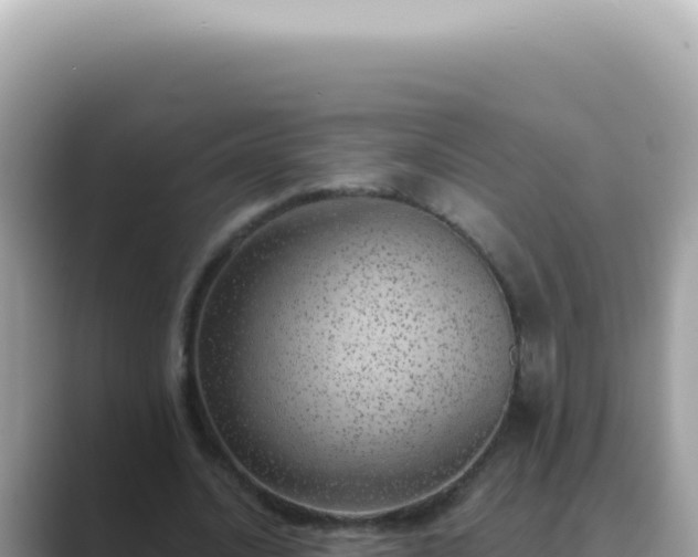 X0000089860628200707051134