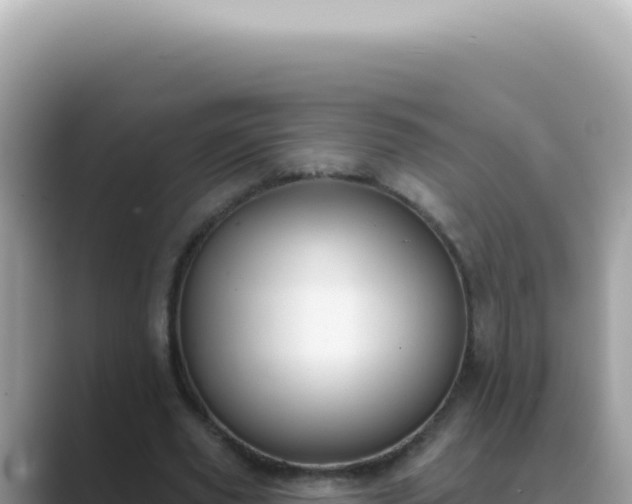 X0000089860629200707051134