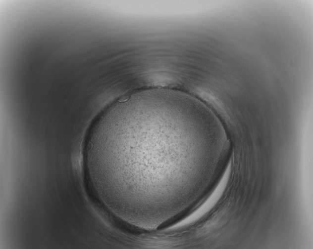 X0000089860630200707051134