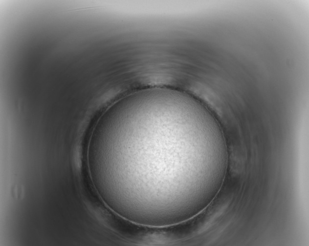 X0000089860631200707051134