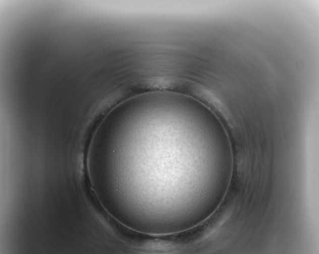X0000089860633200707051134