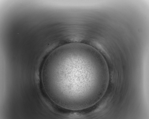 X0000089860634200707051134