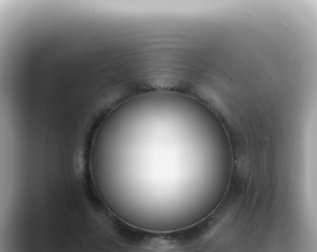 X0000089860635200707051134