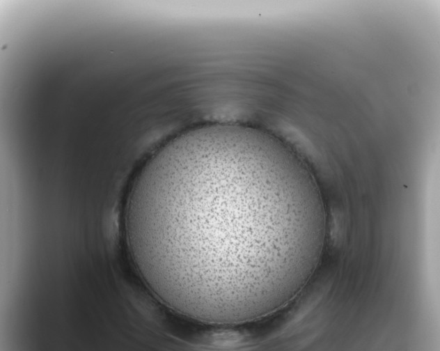 X0000089860636200707051134