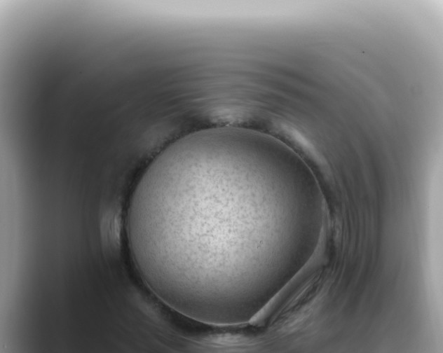 X0000089860637200707051134