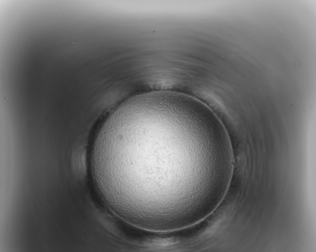 X0000089860638200707051134
