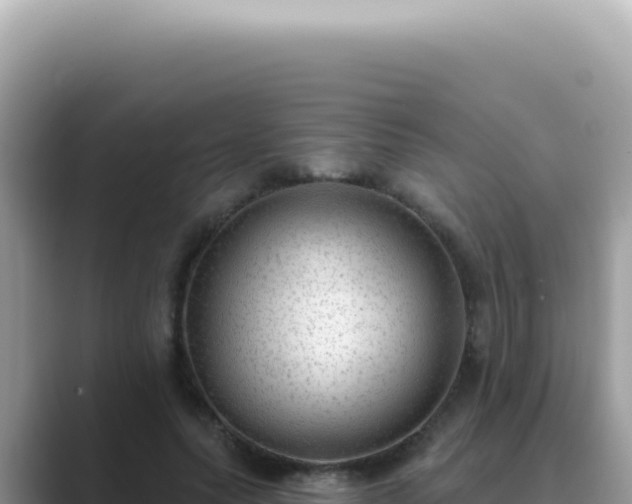 X0000089860639200707051134