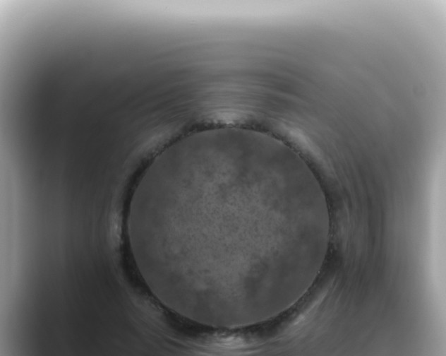 X0000089860640200707051134