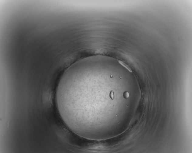 X0000089860643200707051134
