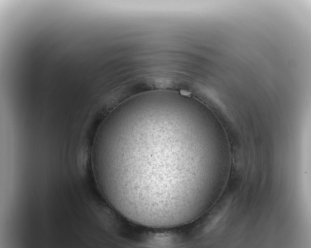 X0000089860645200707051134