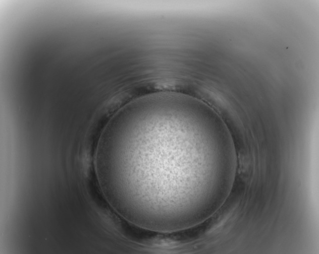 X0000089860648200707051134