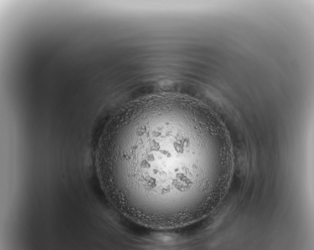 X0000089860654200707051134