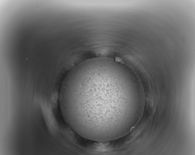 X0000089860660200707051134