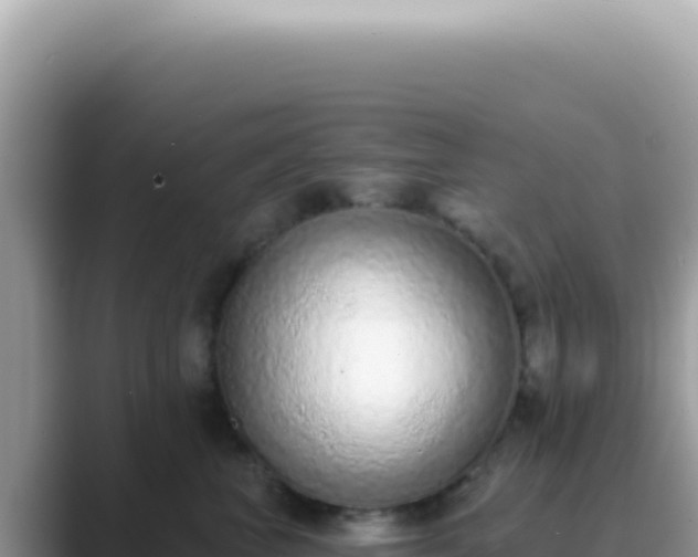 X0000089860667200707051134