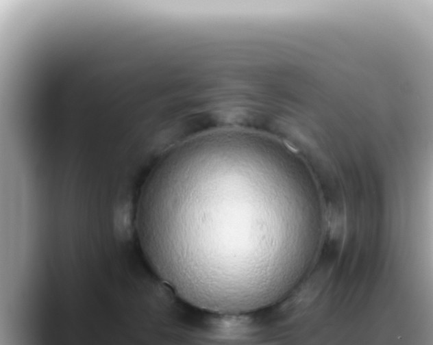 X0000089860670200707051134