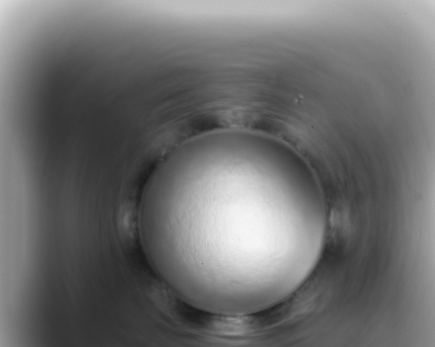 X0000089860671200707051134