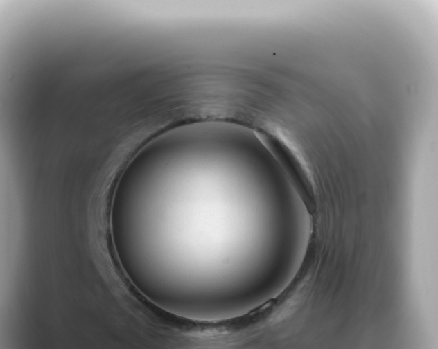 X0000089860673200707051134