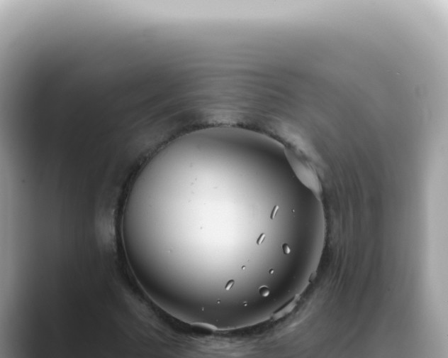 X0000089860681200707051134