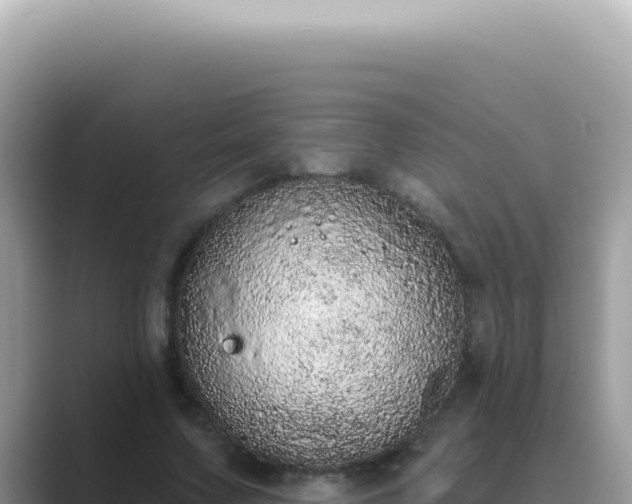 X0000089860683200707051134