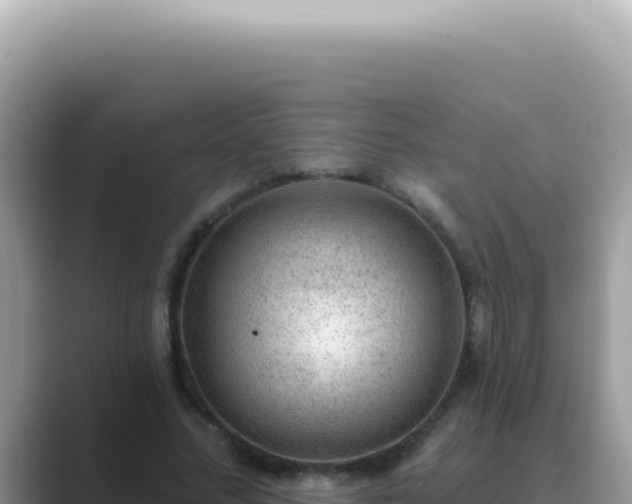 X0000089860684200707051134