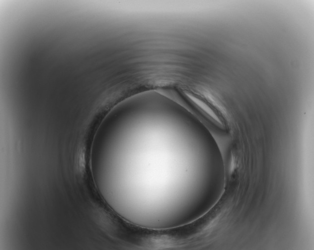 X0000089860685200707051134