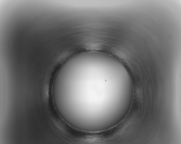 X0000089860686200707051134