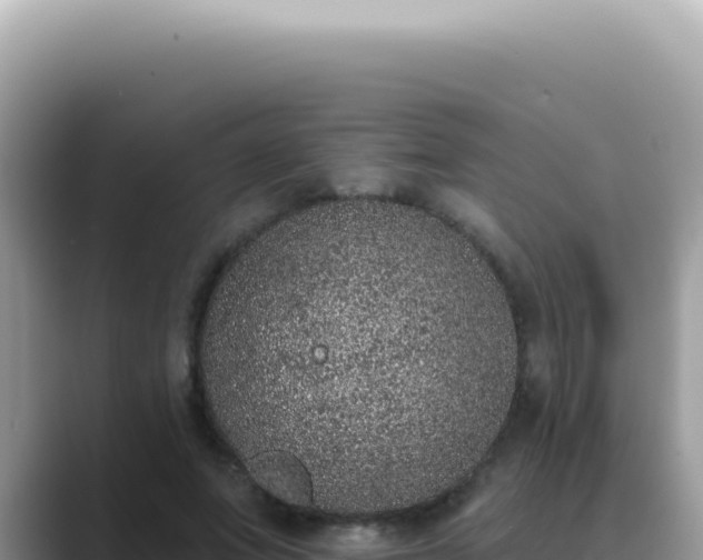 X0000089860687200707051134