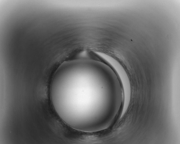 X0000089860689200707051133